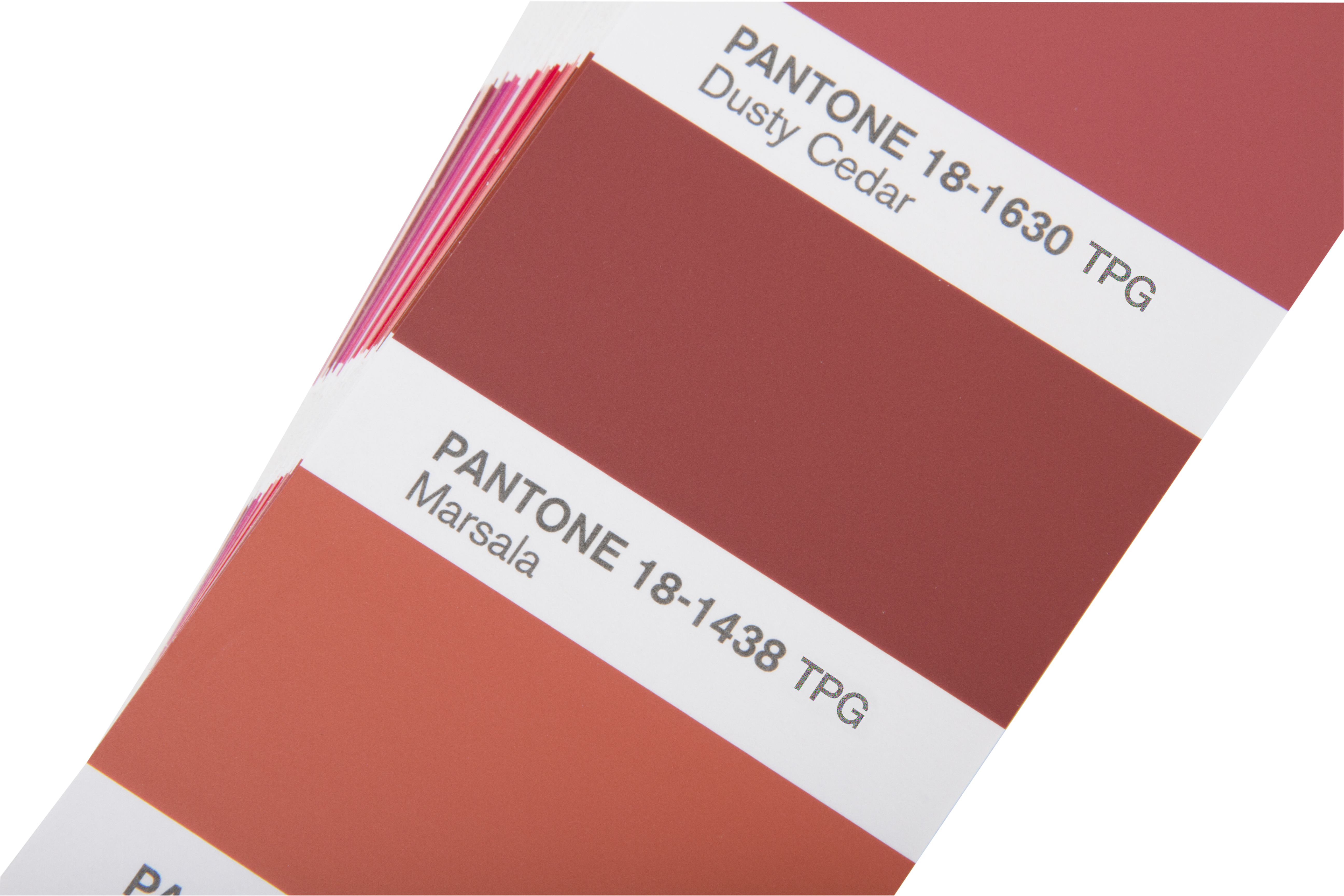 Tpg pantone. Pantone TCX/TPX. Пантон красный. Текстильный пантон. Ягодный цвет пантон.