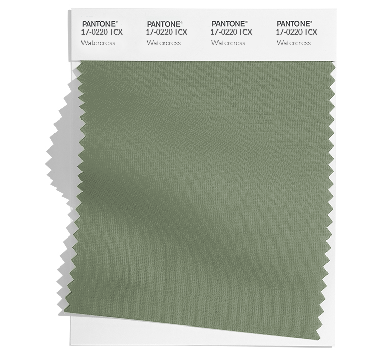 PANTONE SEASONAL COLOR SWATCH - Deep Taupe