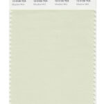 pale green colour swatch