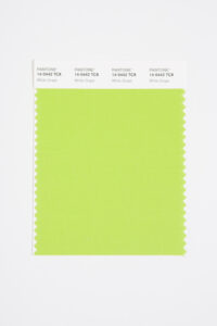 bright green colour swatch