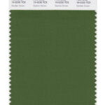 dark green colour swatch