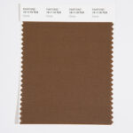 Brown colour swatch