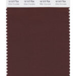 Chocolate Brown swatch