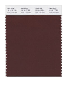 Chocolate Brown swatch